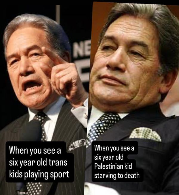 It’s not fair to say MPs need a spine