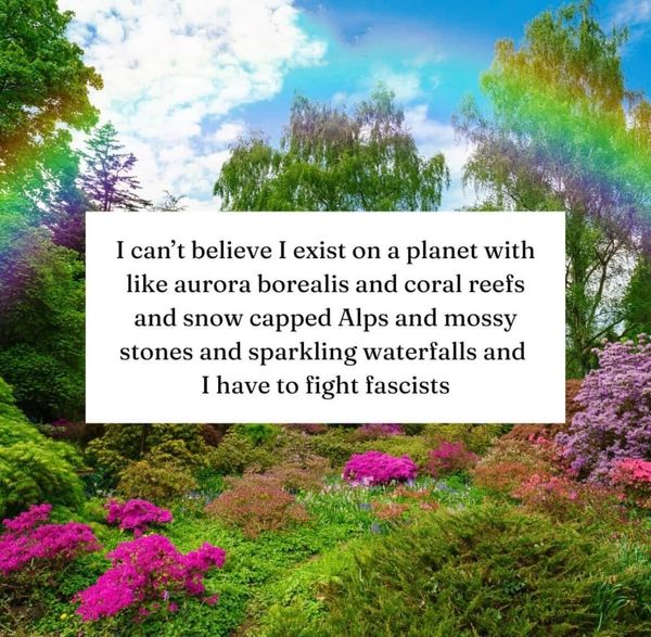 FNC - A very long weekend