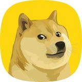 DogeOS Team