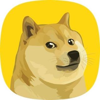 DogeOS Team