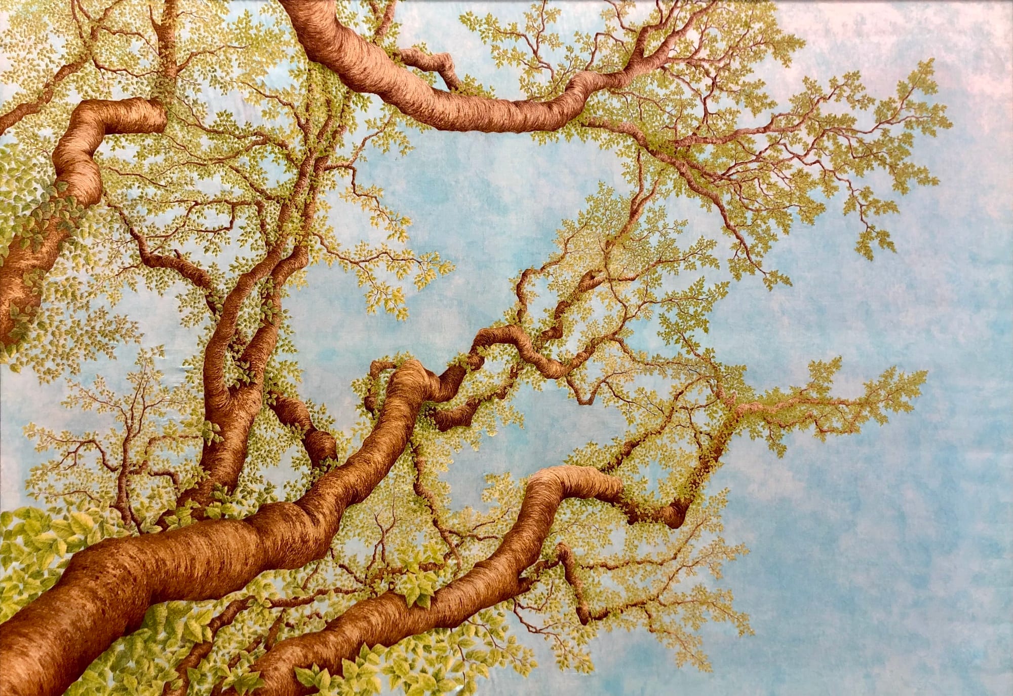 The Spring Beech - Kenris Macleod