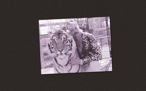 The 12 TV Series That Helped Us Survive 2020 (So Far), Ranked