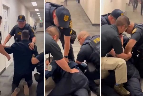 Why Brown is the New Black