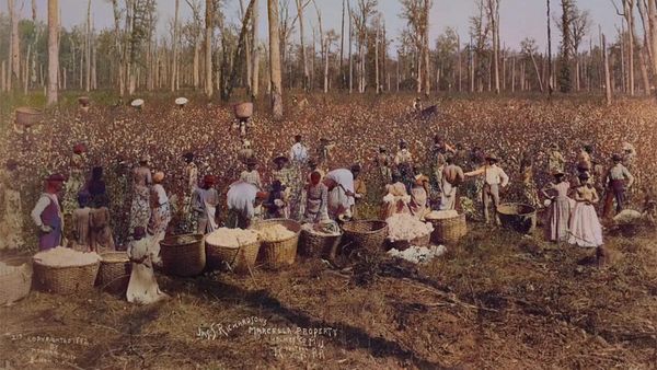 Why Many Black People Won't Celebrate America's 250th Anniversary