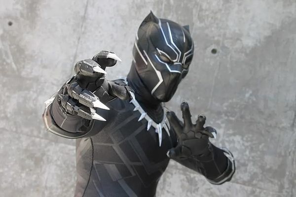Donald Trump and the Dept. of Agriculture Planned Tariffs on Wakanda