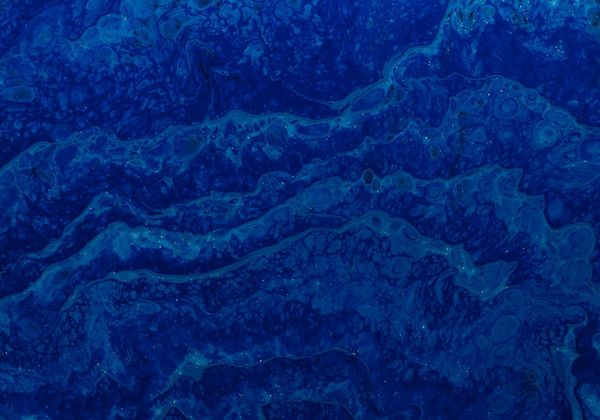 Adapting the Business Model Canvas for Bitcoin and the Lightning Network