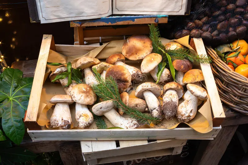 La Famiglia Sagre I: Porcini!