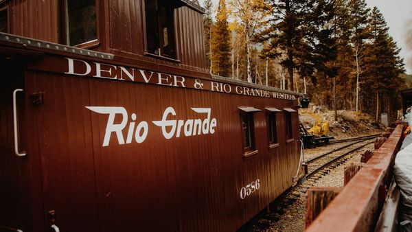 The Strikes They Didn’t Teach You. The Losses You’re Still Paying For.