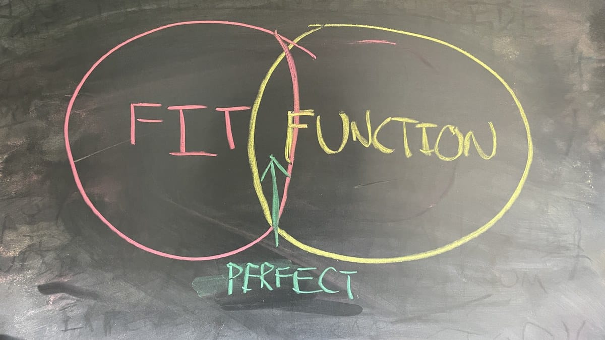 Chalk illustration of two overlapping circles labeled fit and function, a single figure standing where they meet