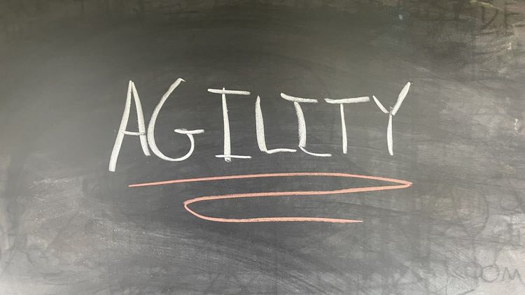 What Business Agility Actually Means (And Why Most Leaders Don't Have It)