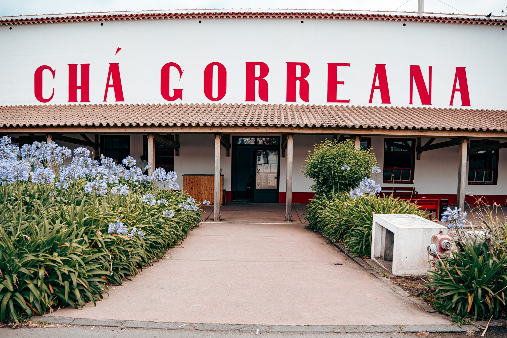The entrance to Chá Gorreana’s factory building, with bold red lettering above the door and blooming agapanthus lining the walkway