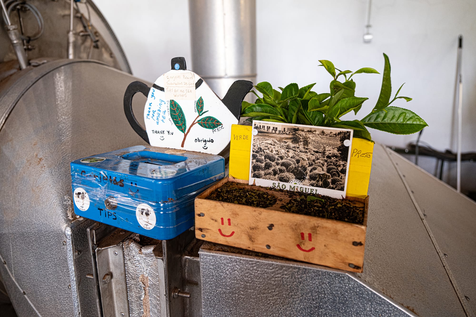 A hand-decorated tip box, a teapot-shaped thank-you sign, and a wooden tray holding tea leaves and a São Miguel postcard sit atop a metal machine at Chá Gorreana