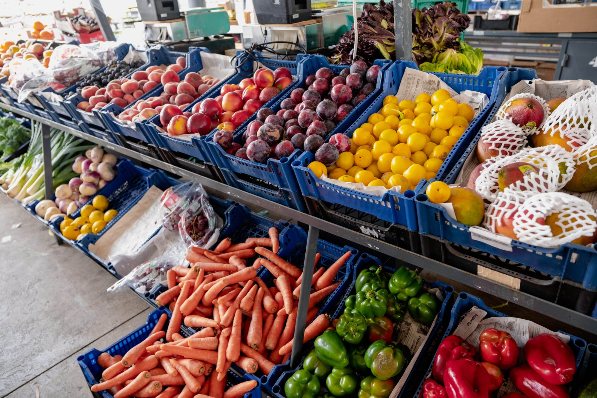Crates of fresh fruit and vegetables at Mercado Agrícola de Santana, including plums, peaches, carrots, peppers, and mangoes wrapped in white mesh sleeves