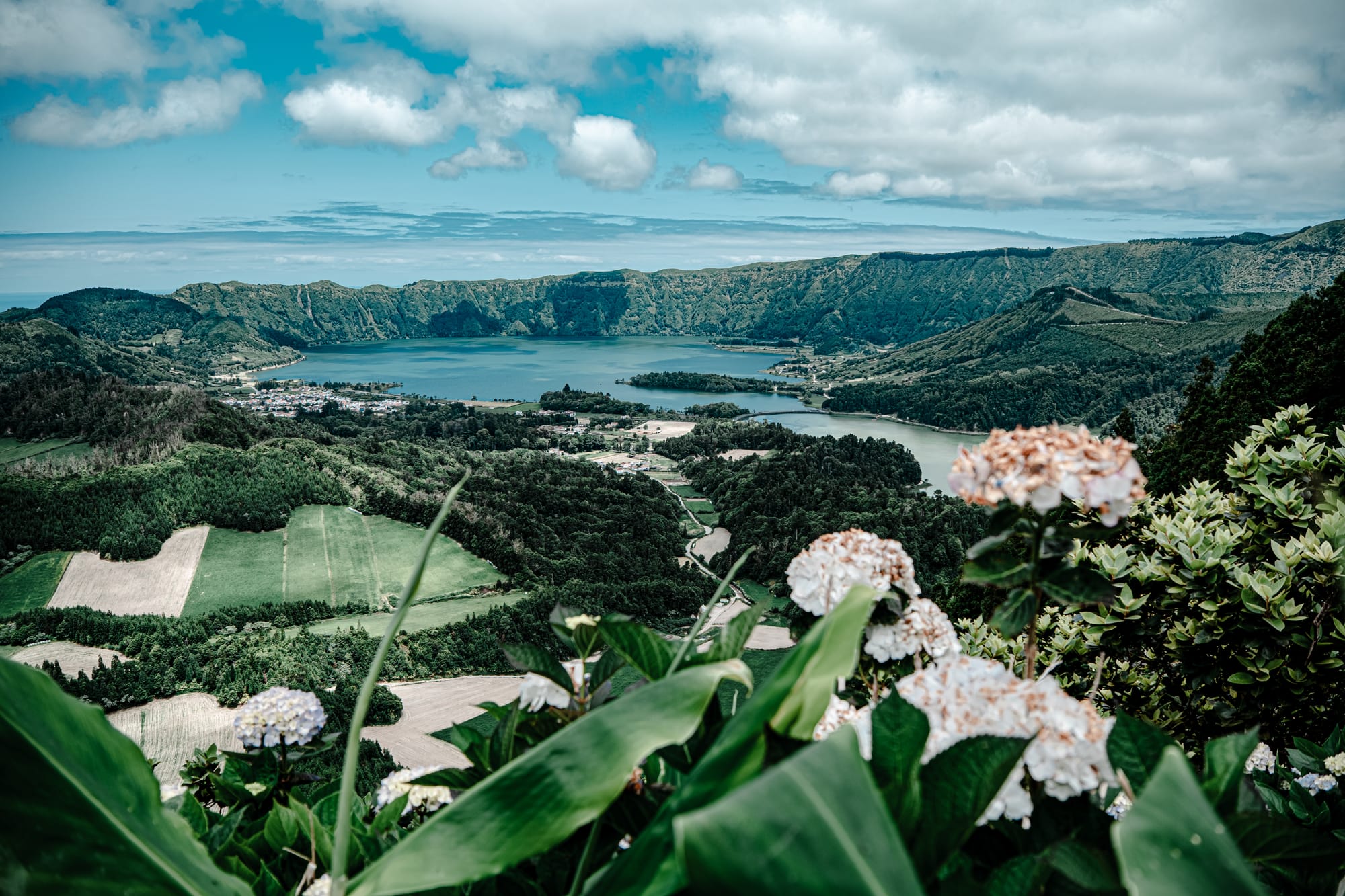 View from a high lookout of Sete Cidades on São Miguel Island, showing green fields, twin crater lakes, and hydrangeas in the foreground