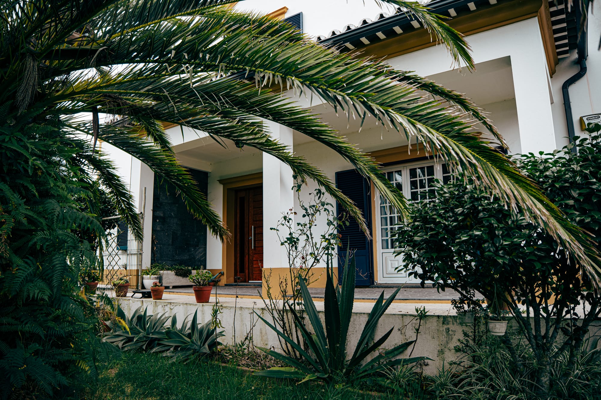 The front entrance of Lava Coliving, partially obscured by large palm fronds and dense garden plants, with white pillars and wooden door beneath a covered patio