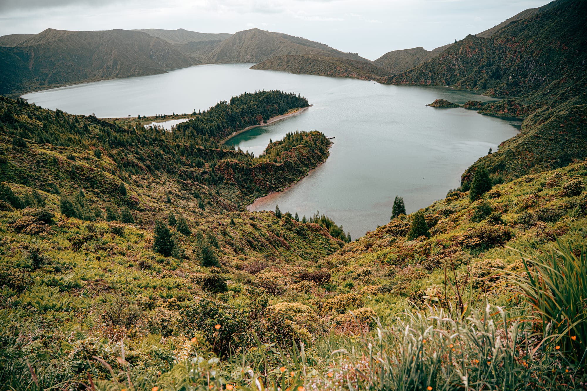 Wide view of Lagoa do Fogo, with its irregular shoreline, pine-covered islet, and surrounding green slopes dotted with low wild shrubs