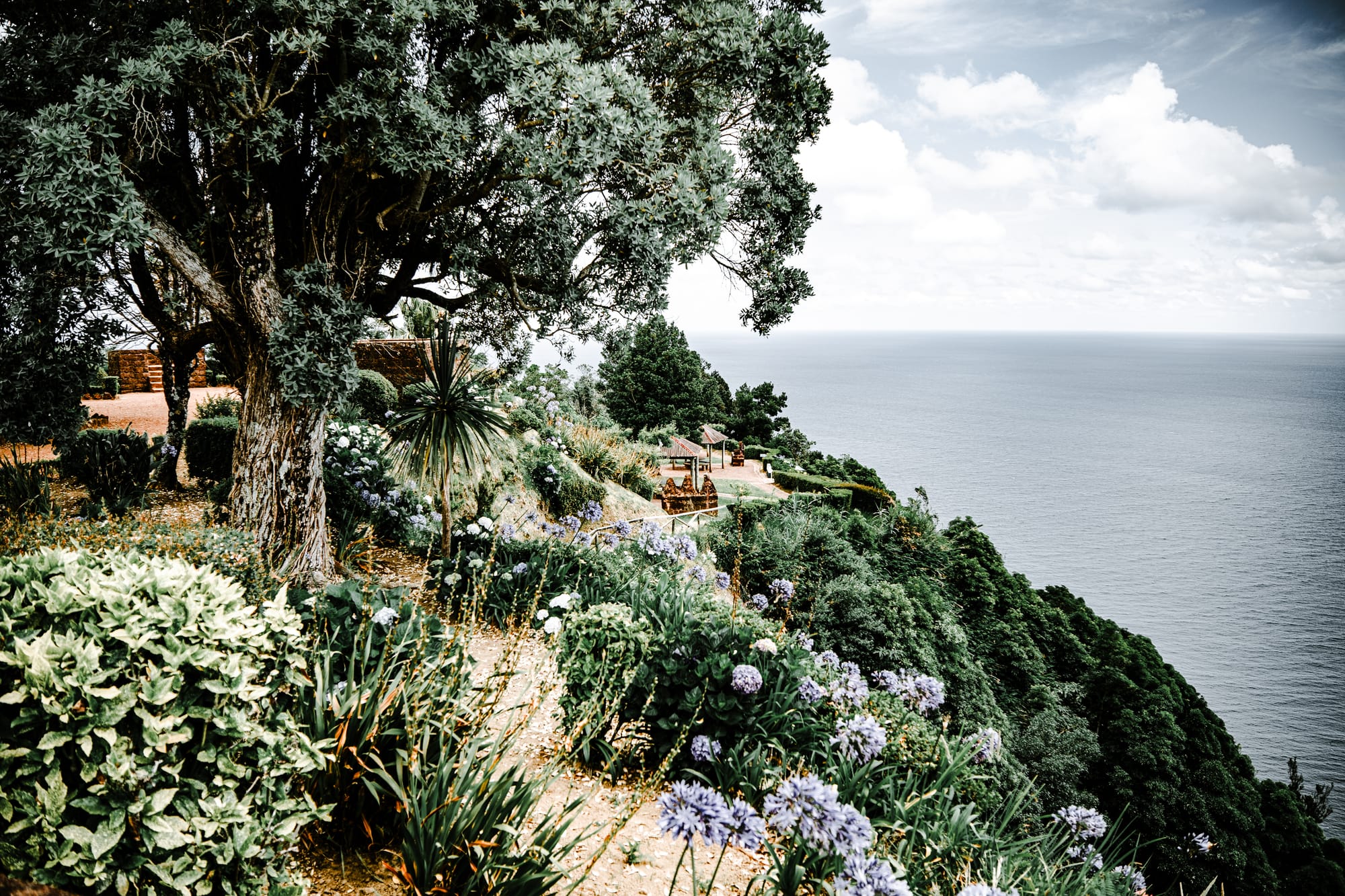 View of a cliffside garden at Miradouro da Ponta do Sossego, overlooking the Atlantic Ocean