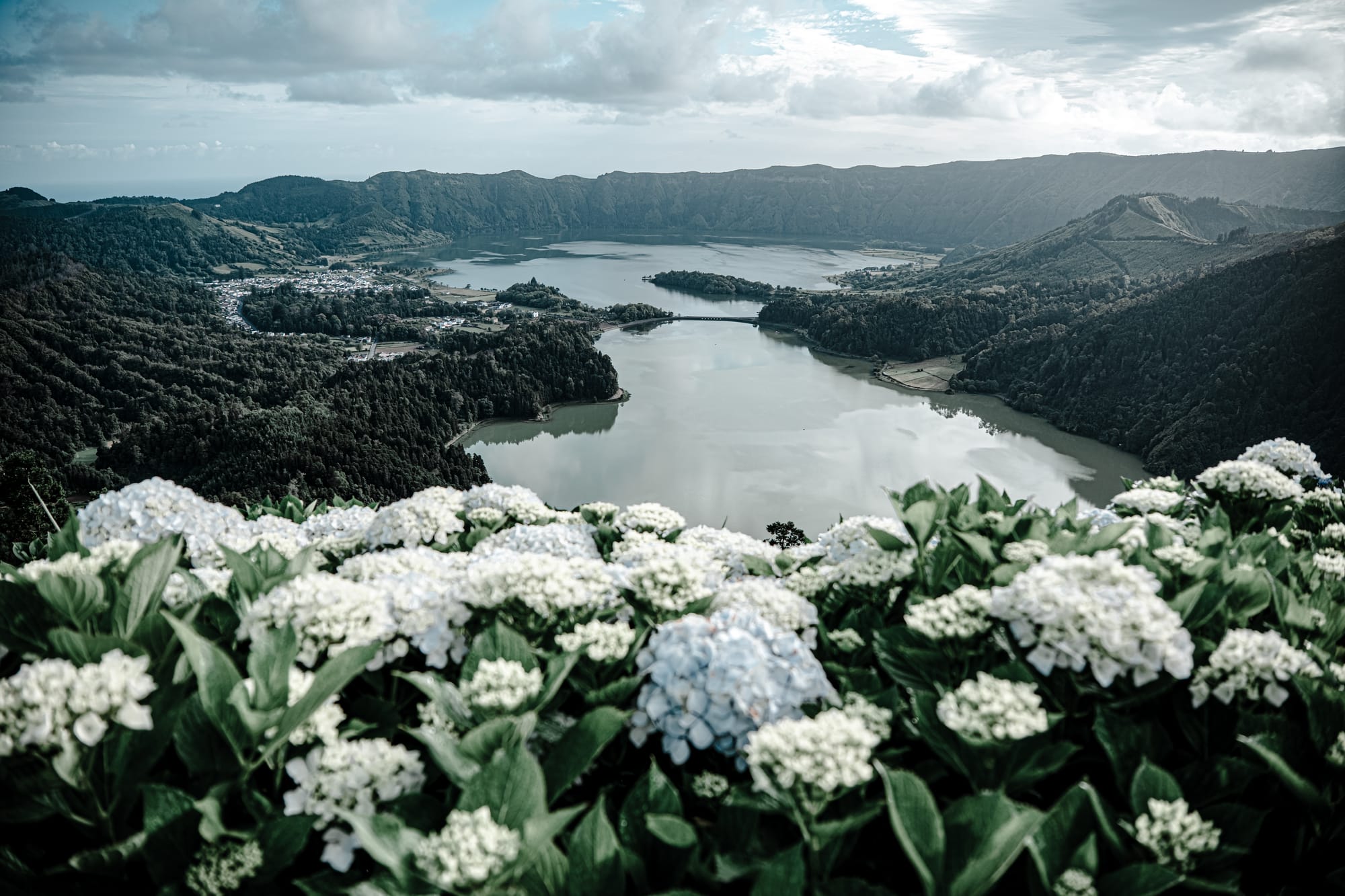 View from Miradouro da Vista do Rei with blooming hydrangeas in foreground and twin lakes of Sete Cidades in background