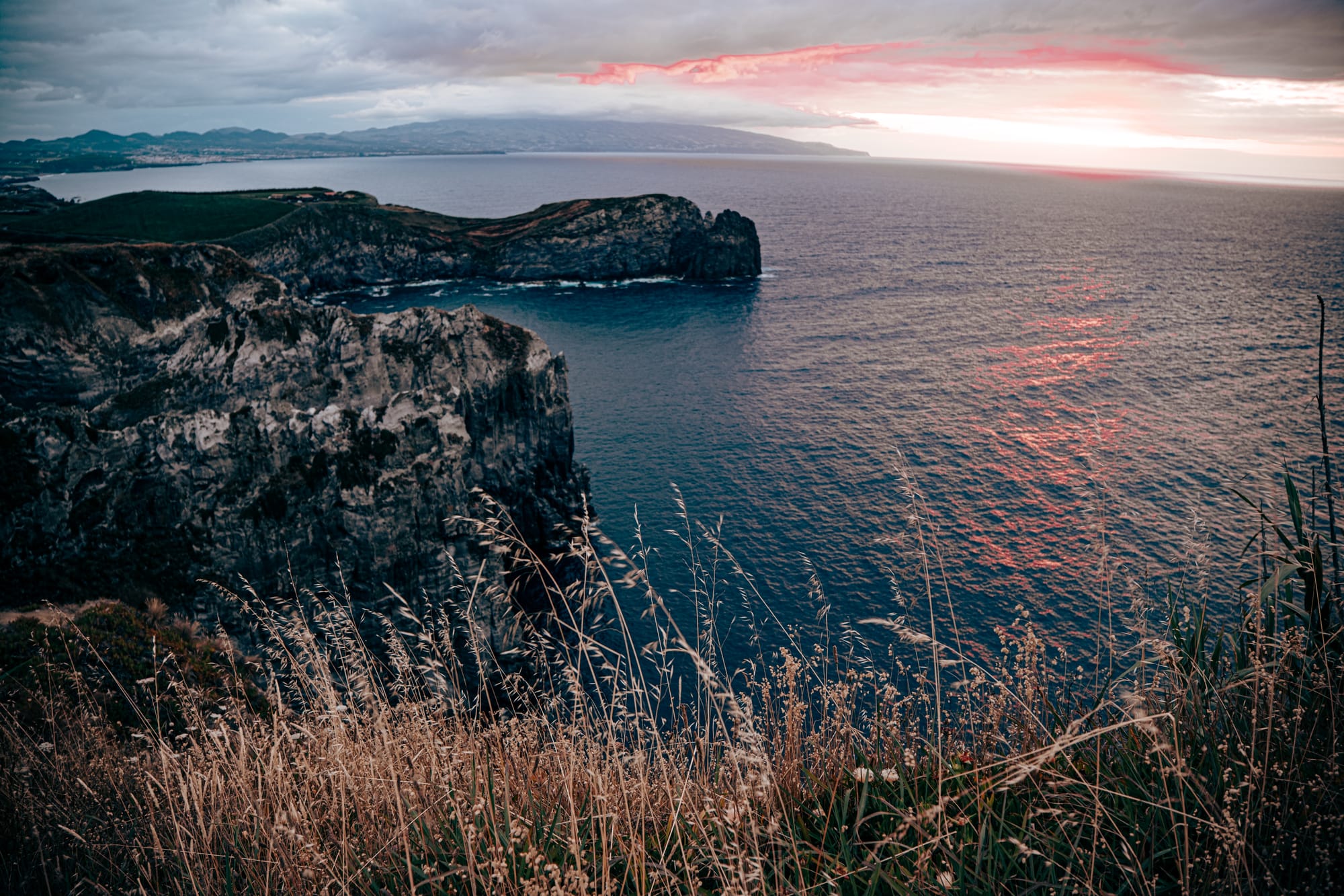 Golden grasses in the foreground with steep volcanic cliffs and calm Atlantic water at sunset, glowing with a pink hue