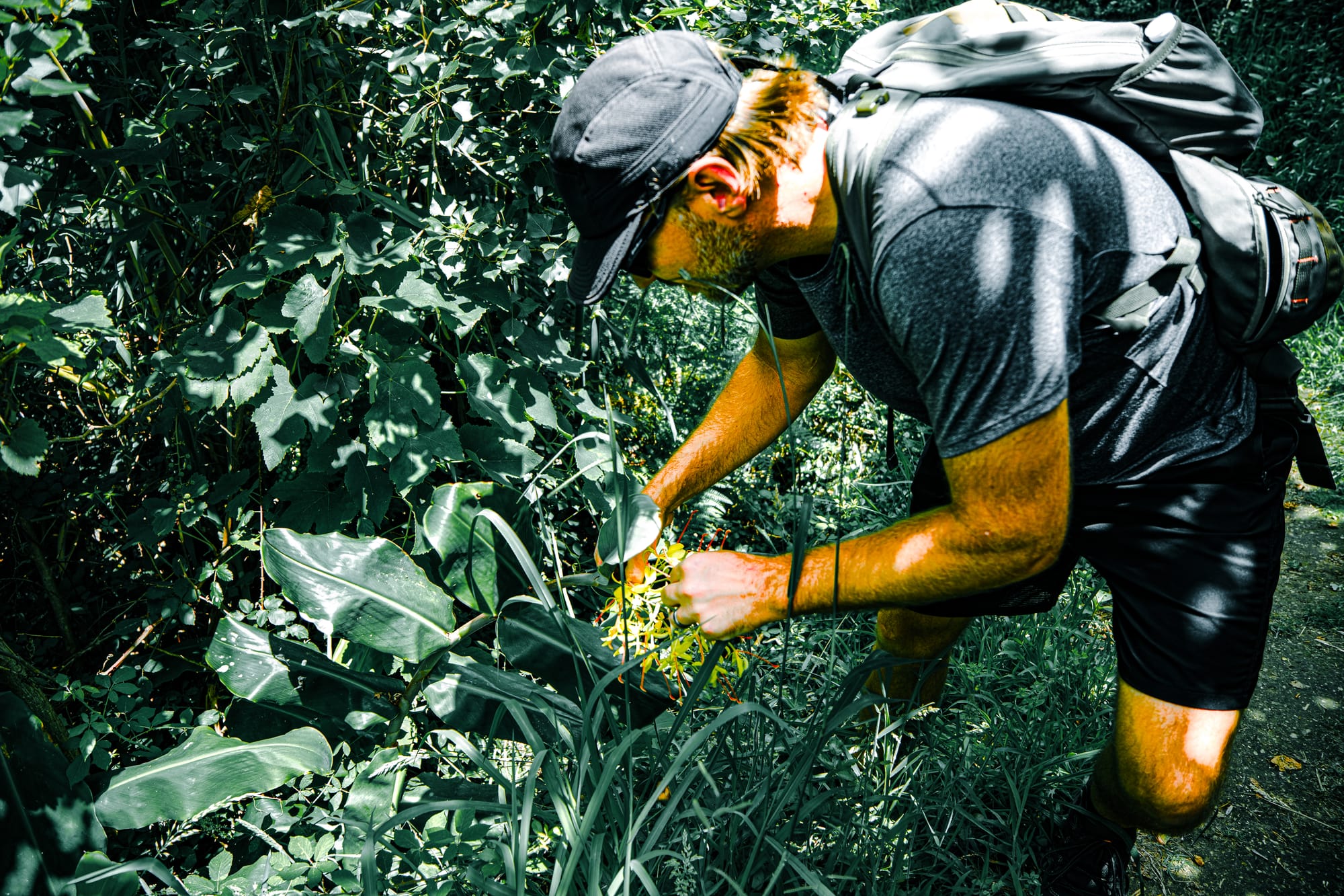 A hiking guide named Chris bends over to examine a ginger lily plant along a forested trail, surrounded by dense Azorean vegetation