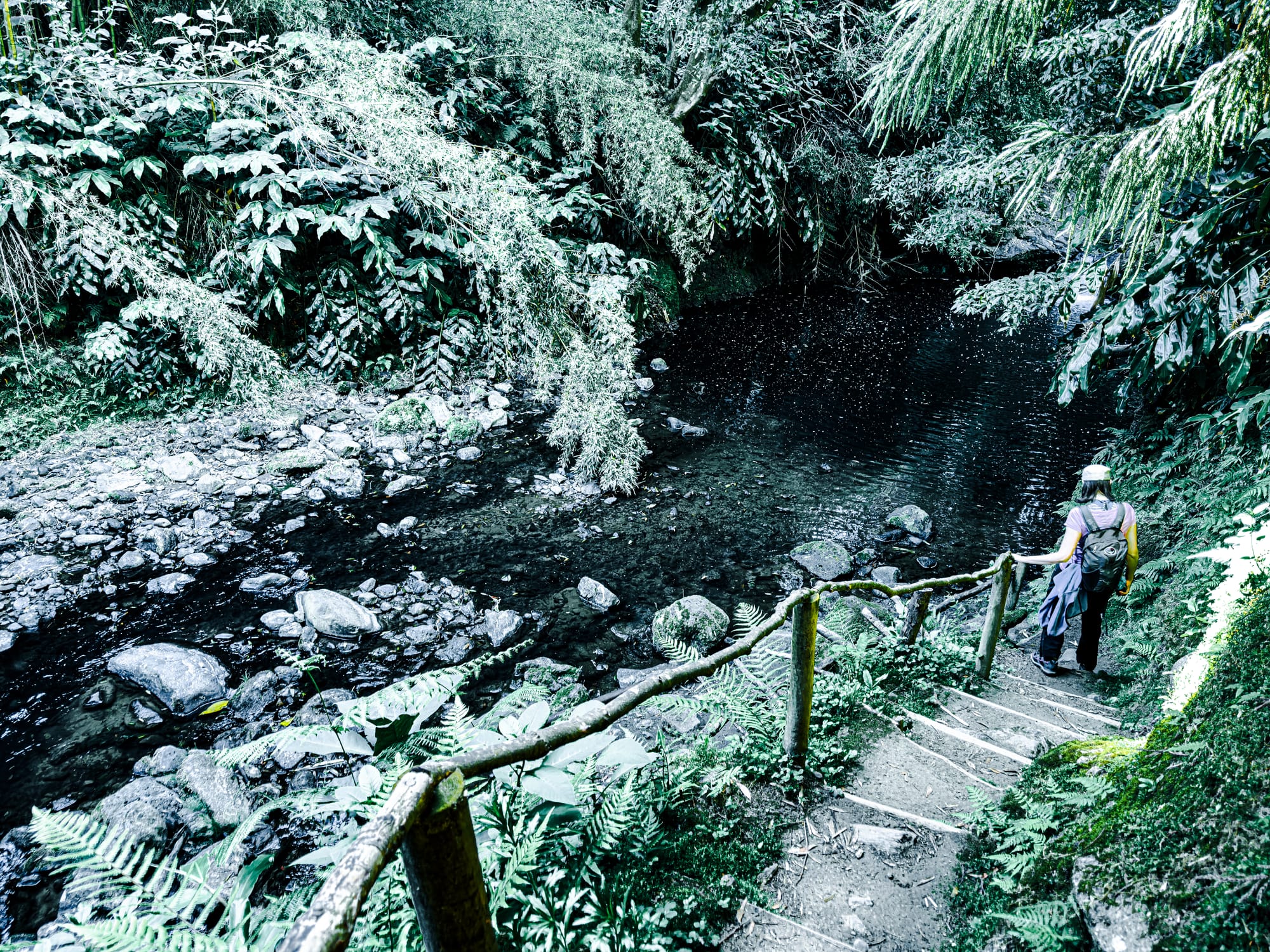 Hiker walking down a dirt and wood stairway with a handrail toward a shaded river pool surrounded by dense vegetation on the Moinho do Félix trail in São Miguel, Azores