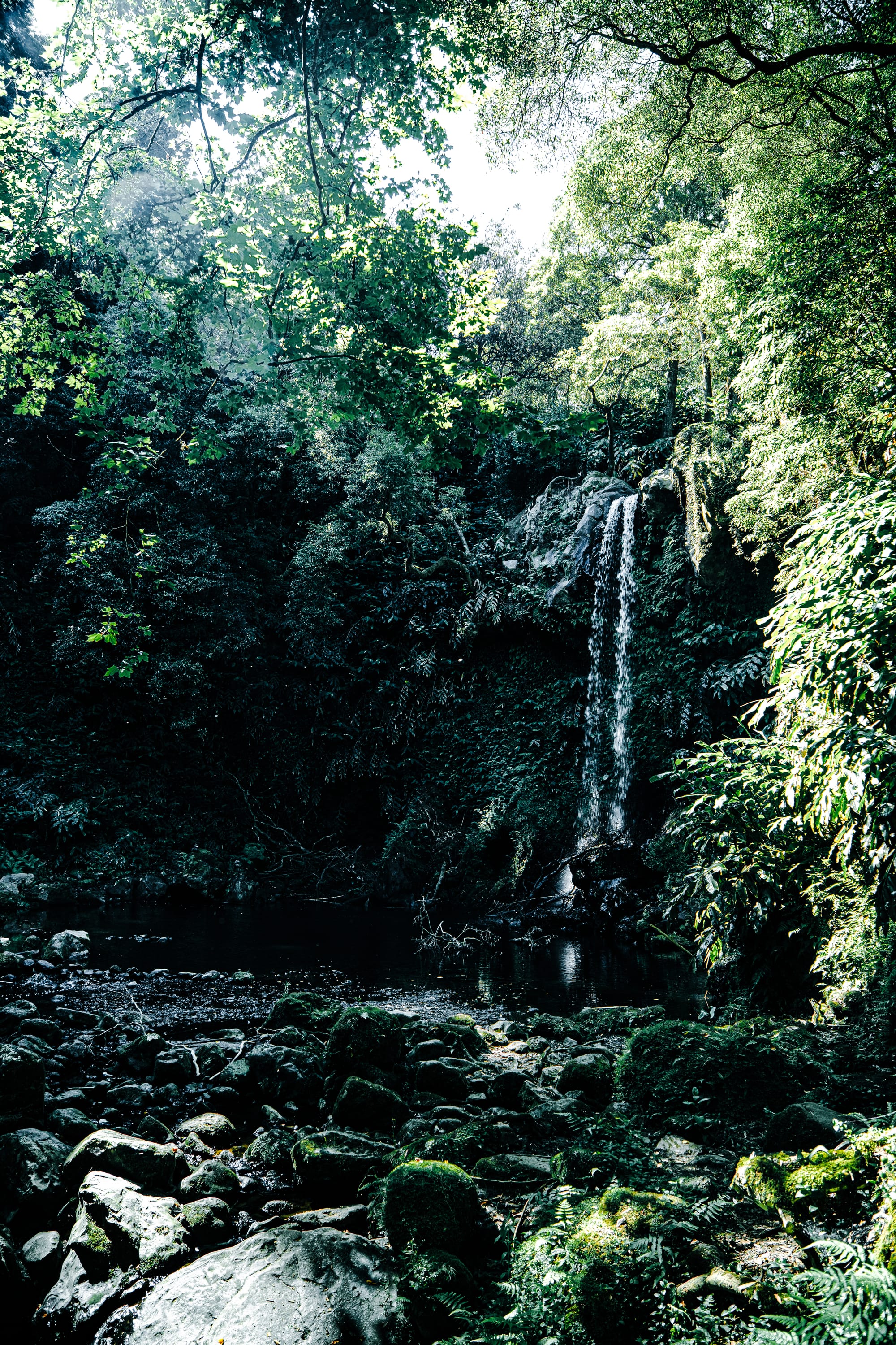 Tall, narrow waterfall flowing down a moss-covered cliff into a calm, dark pool surrounded by thick green vegetation and trees