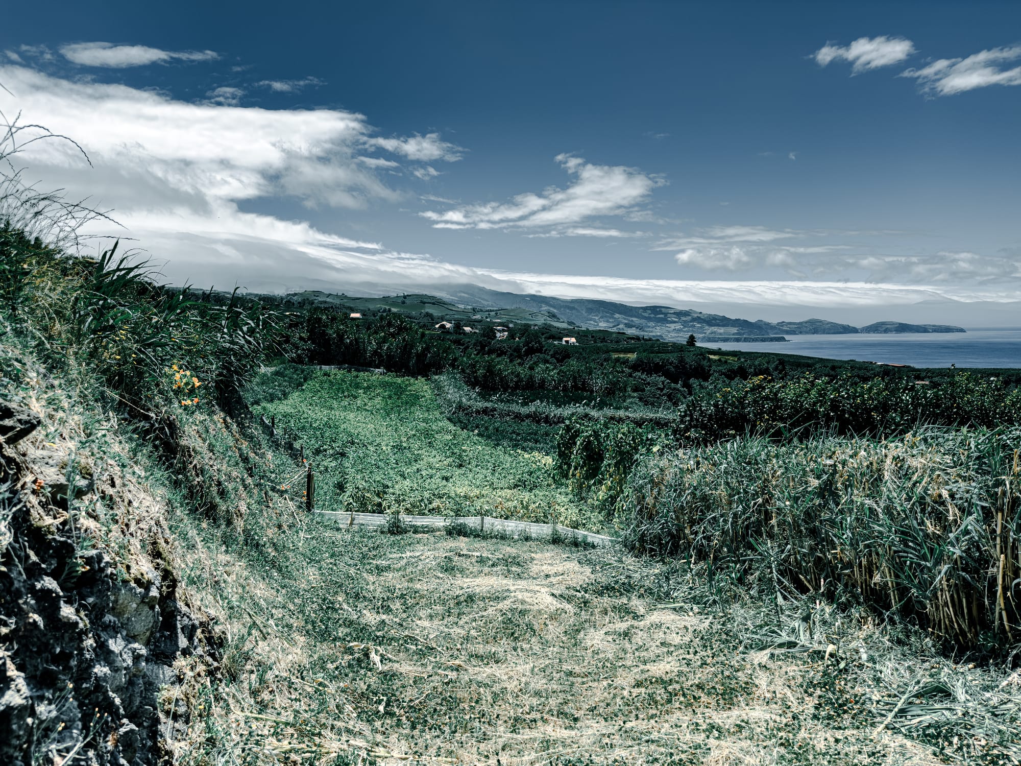 A grassy trail descending into green fields with expansive ocean views and mountain ridges in the distance under a partly cloudy sky
