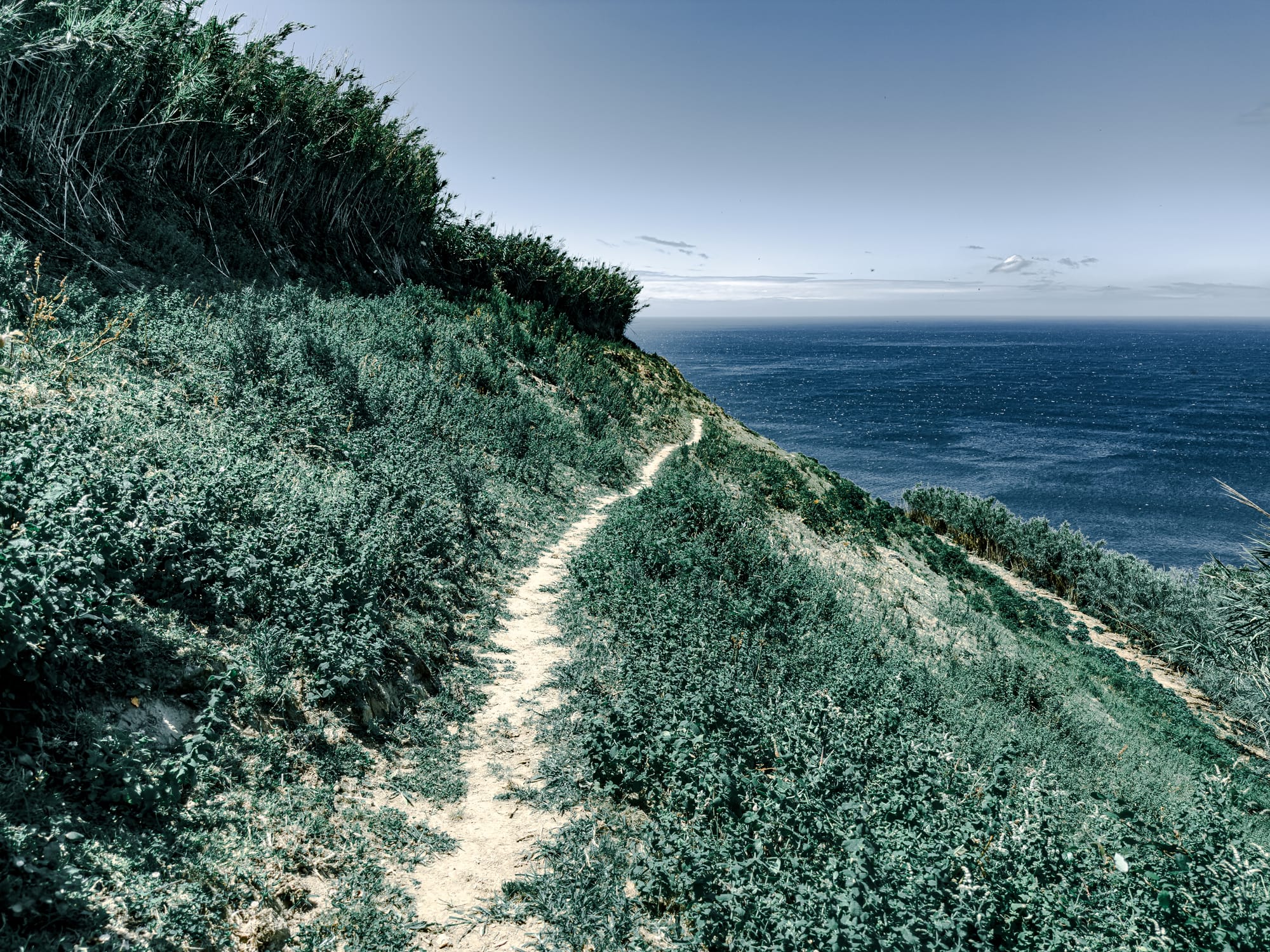 A narrow dirt trail curving along the edge of a grassy cliff above the Atlantic Ocean under a clear sky