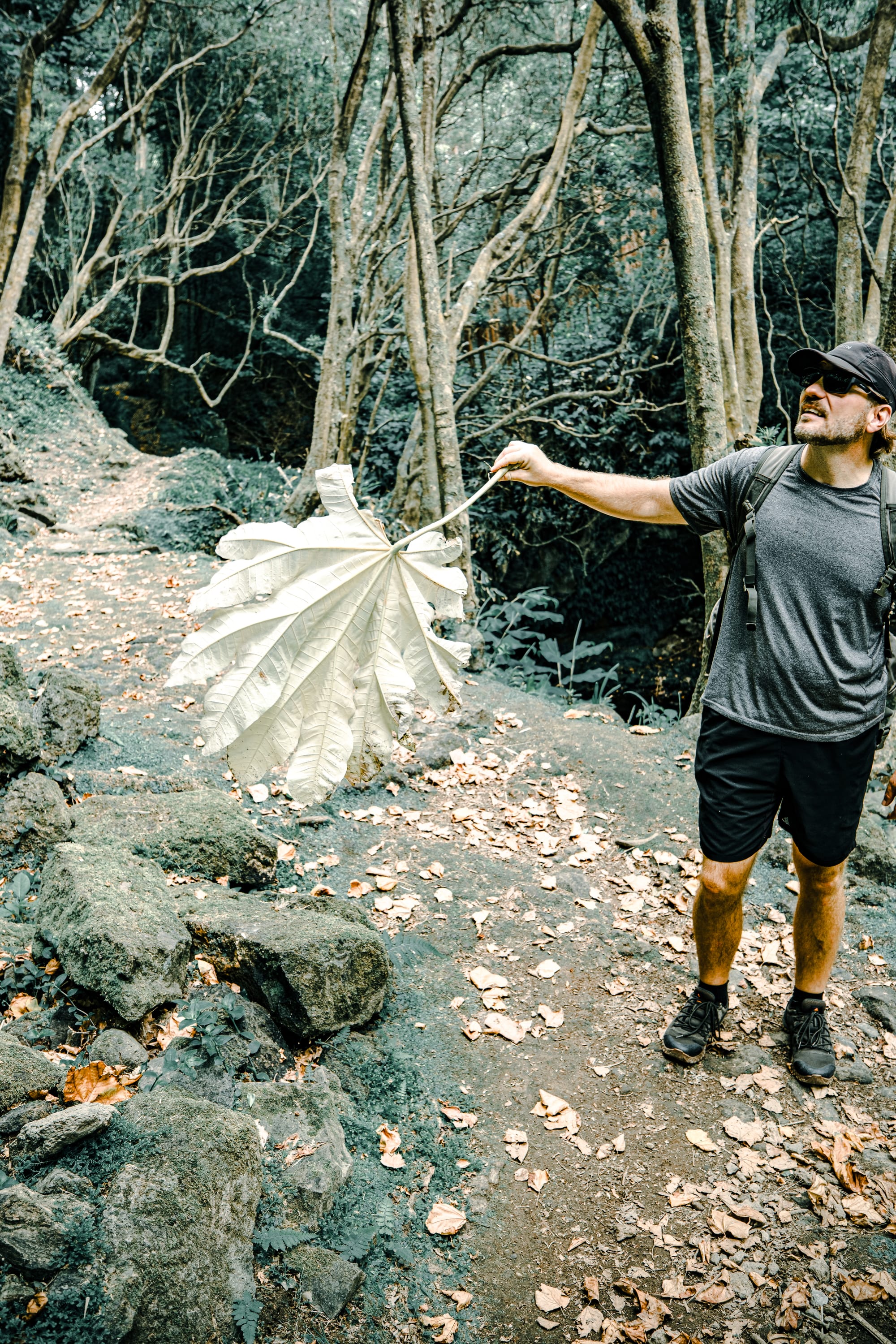 Guide Chris holding a large white leaf in the forest while hiking the Moinhos da Ribeira Funda trail on São Miguel Island