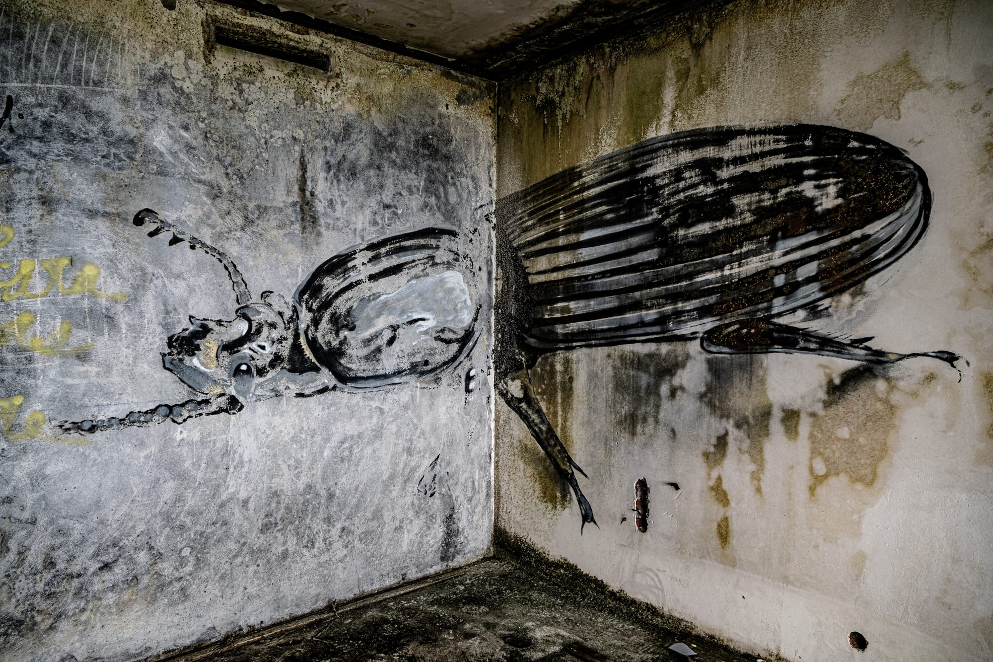 Black and white mural of a large beetle painted across two intersecting walls in an abandoned hotel room, with peeling paint and mold stains surrounding it