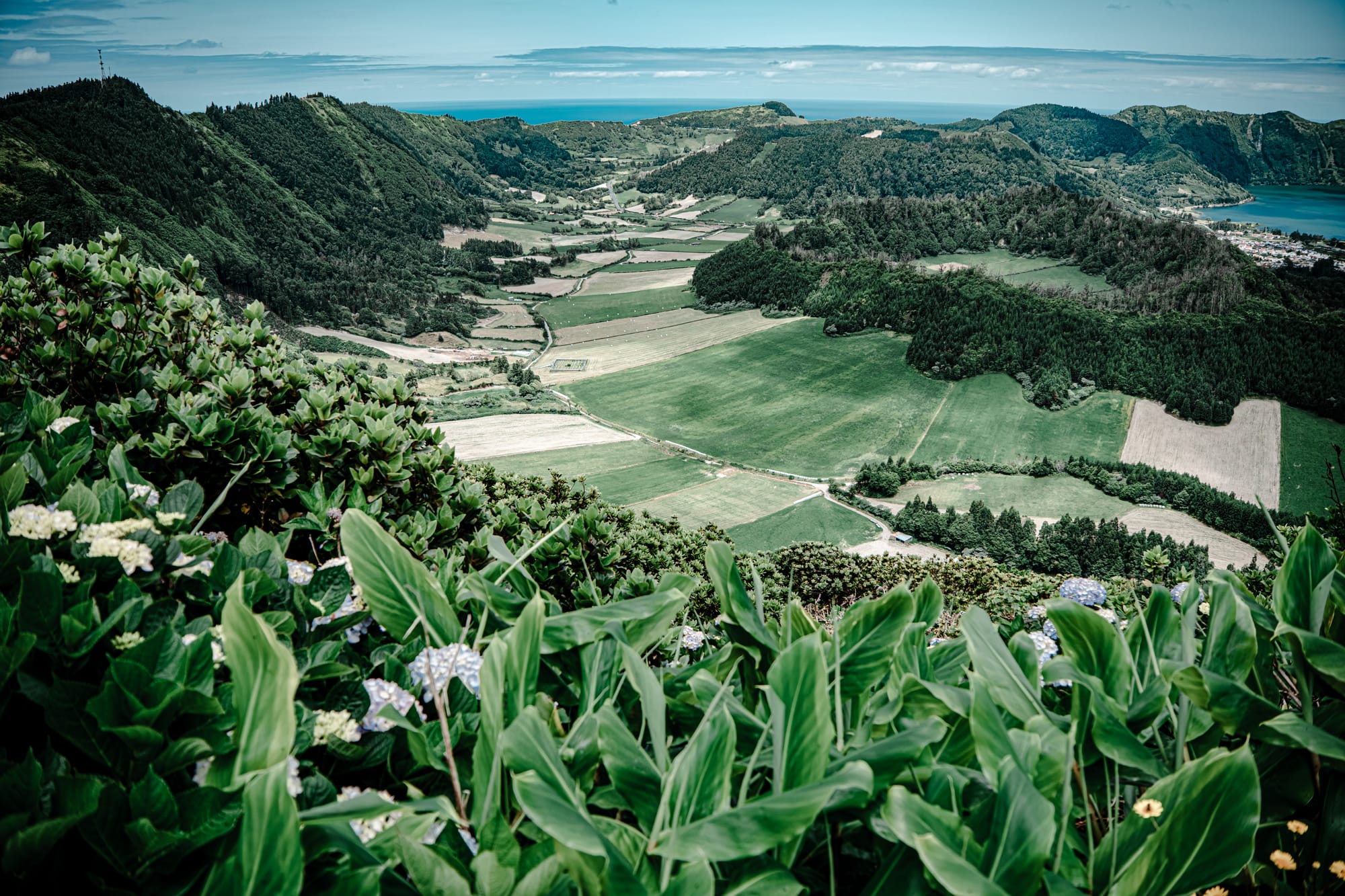 Expansive vista of green farmlands and coastal cliffs seen from a high point on the PR3-SMI trail, framed by lush hydrangeas and wild vegetation in the foreground