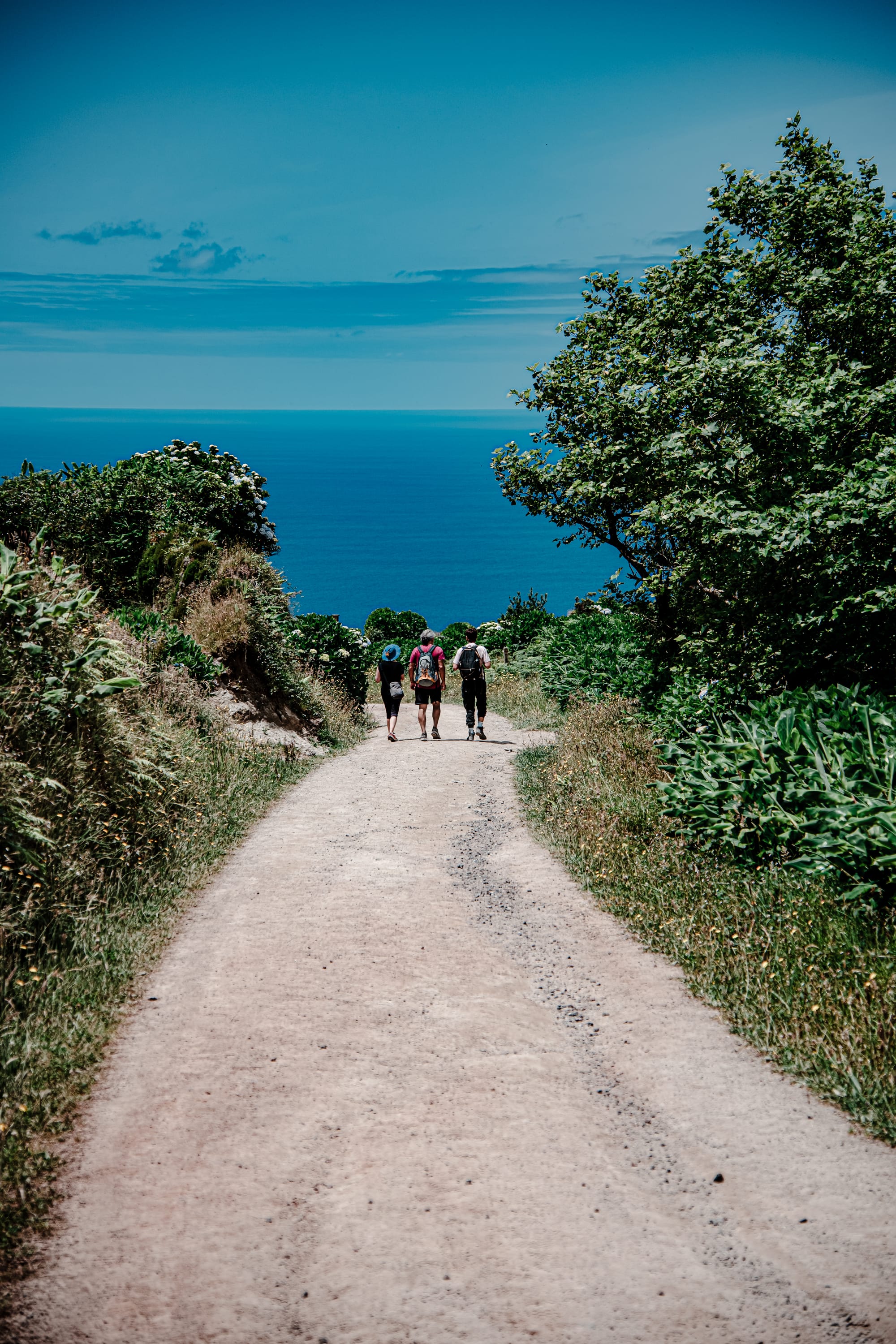 Three hikers walking down a sunlit trail flanked by coastal vegetation, heading toward a brilliant blue Atlantic Ocean horizon