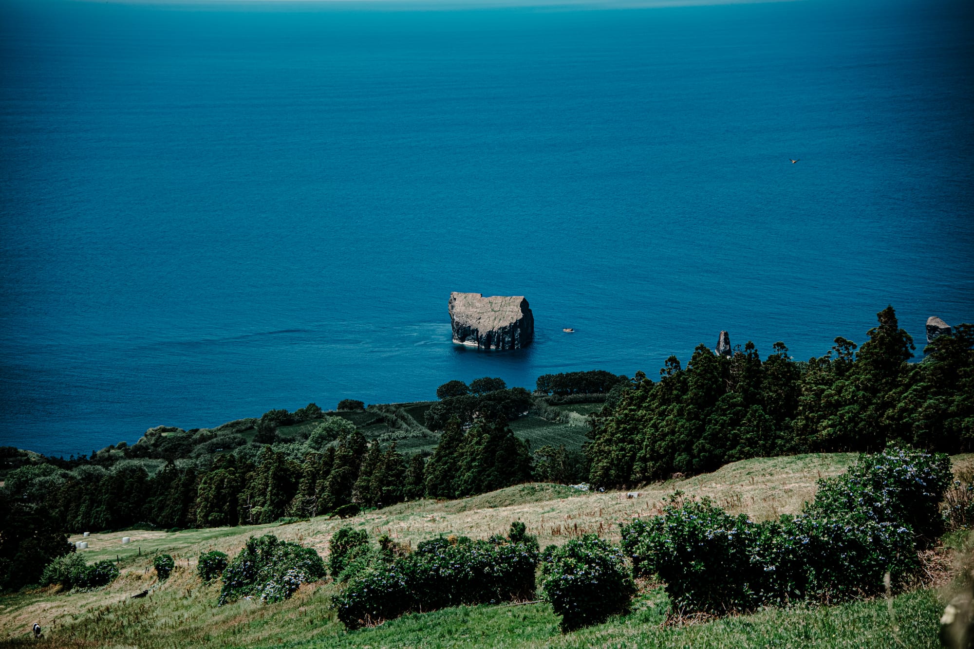 Large solitary sea stack surrounded by deep blue Atlantic waters, seen from a grassy hillside on the PR3-SMI trail