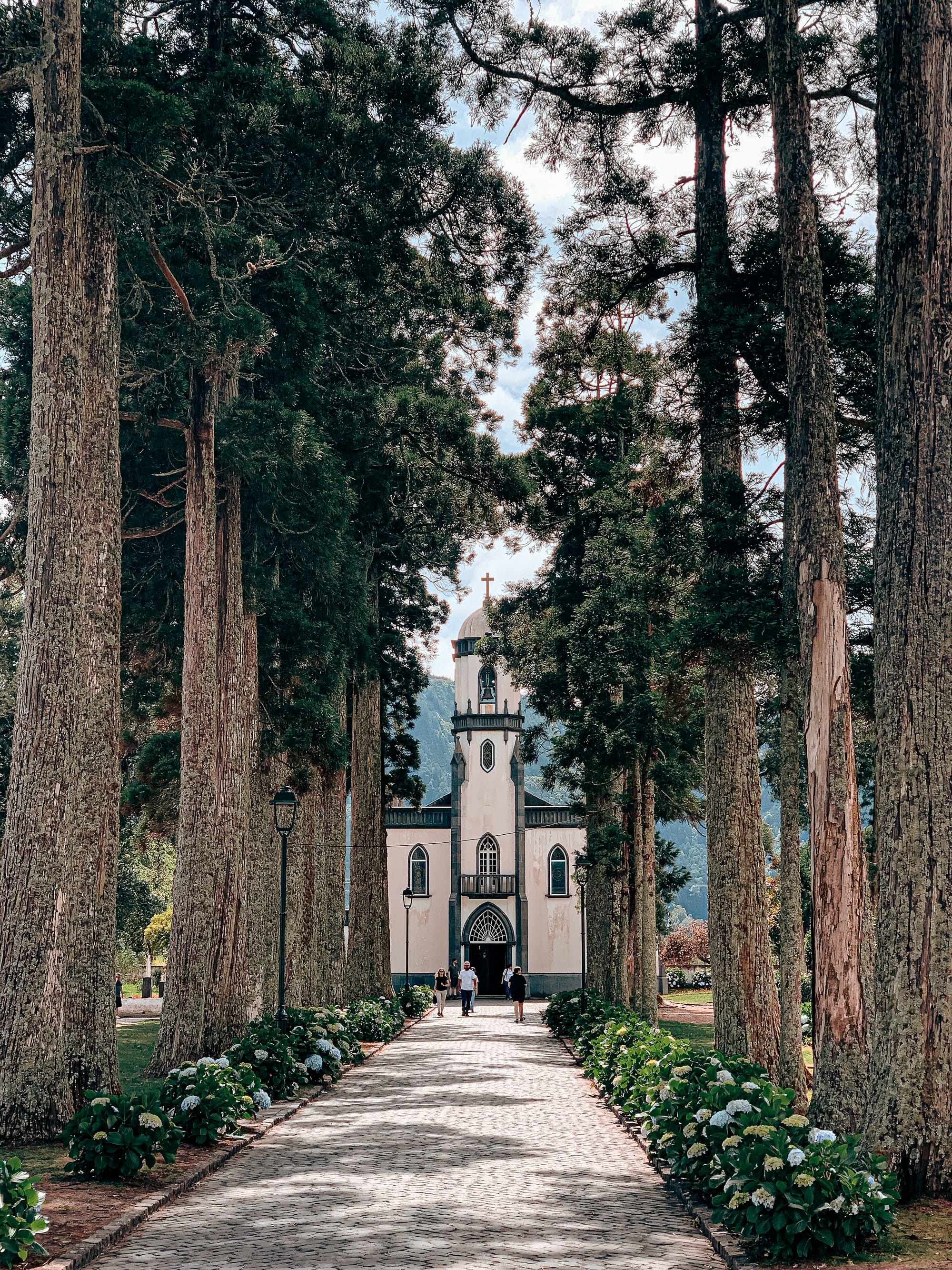 A symmetrical path flanked by towering trees leads to the white facade of Igreja de São Nicolau in the village of Sete Cidades, with visitors walking beneath hydrangeas and dappled light