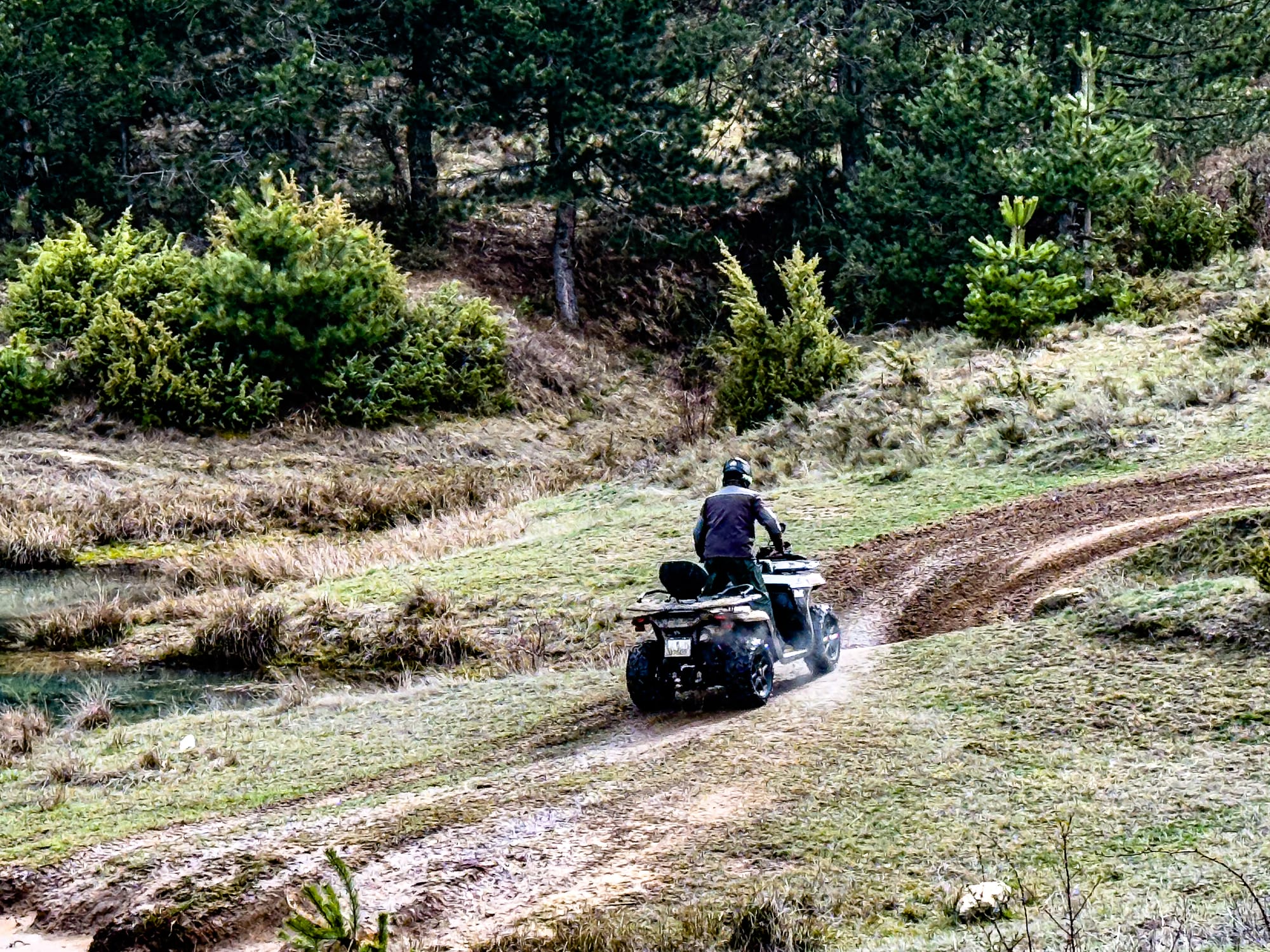Person on an ATV driving up a muddy trail through grassy terrain and pine trees near Bansko, Bulgaria