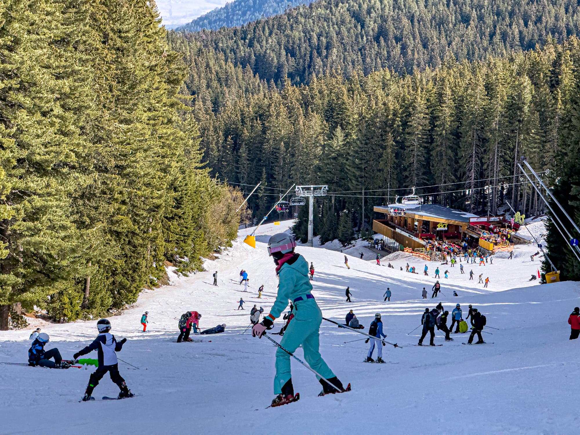 Busy ski slope in Bansko, Bulgaria, with skiers and snowboarders descending towards a wooden lodge surrounded by dense pine forest, under clear winter skies