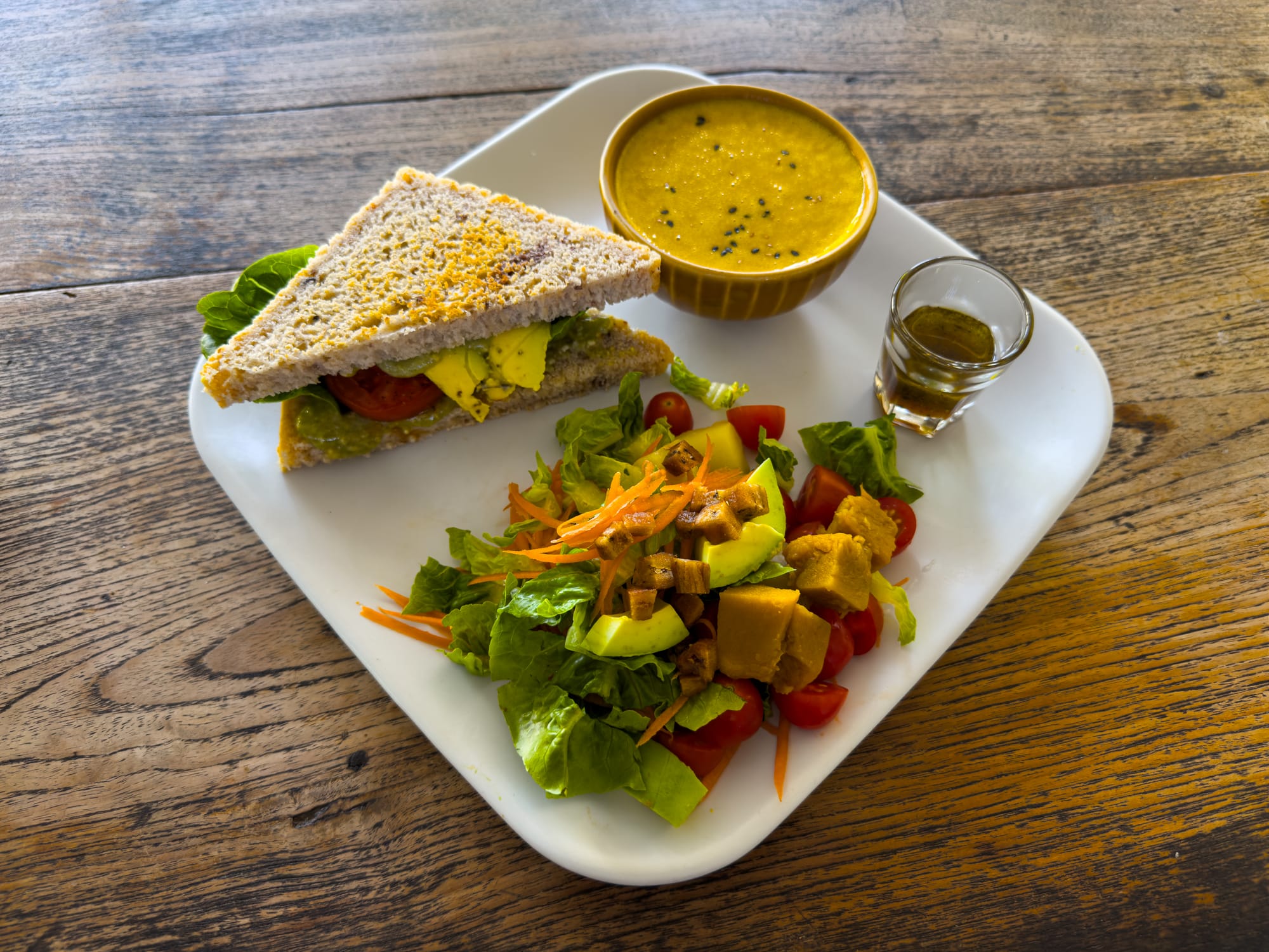 Bird’s Nest Café lunch plate with an avocado and tomato sandwich on homemade bread, a fresh salad with pumpkin and greens, a small bowl of soup, and a shot of dressing on the side