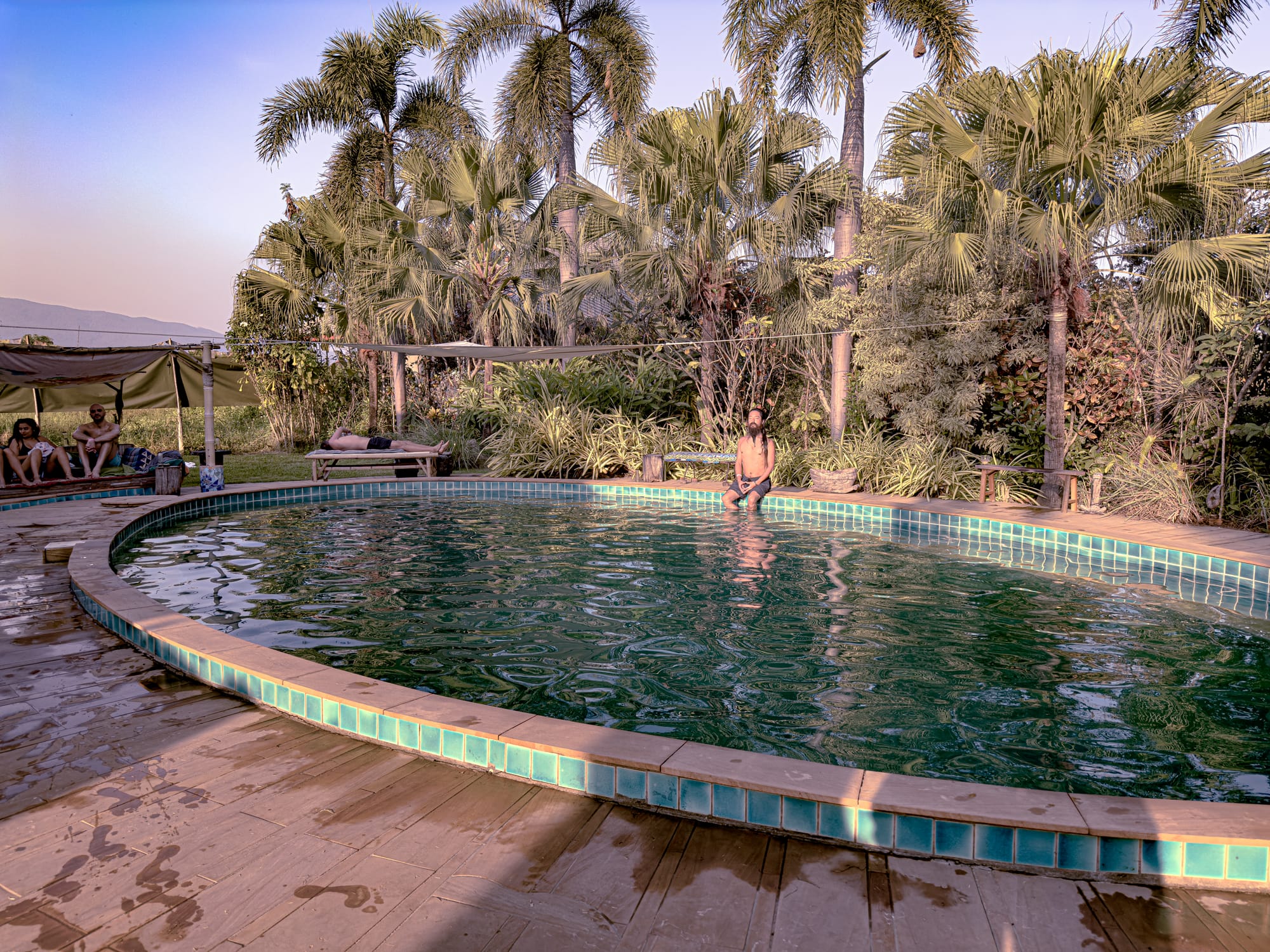 Outdoor swimming pool at Cocoon in Chiang Mai, bordered by palm trees and tropical greenery, with guests lounging on sunbeds and one person seated at the pool’s edge