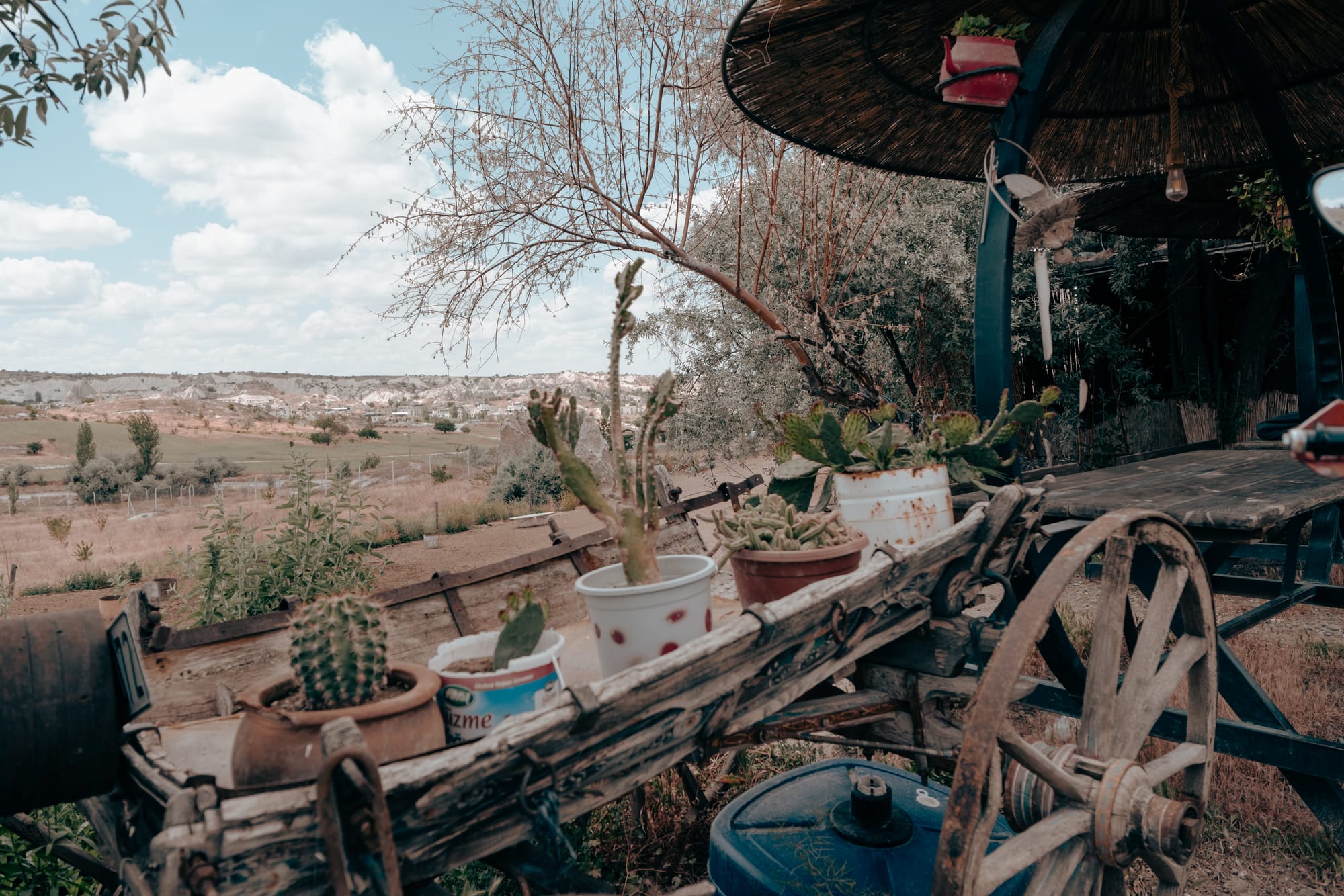 Close-up of a weathered wooden cart decorated with potted cacti and succulents at Dalton Brothers Ranch in Cappadocia, Turkey, with expansive valley views and fairy chimney rock formations in the background under a partly cloudy sky