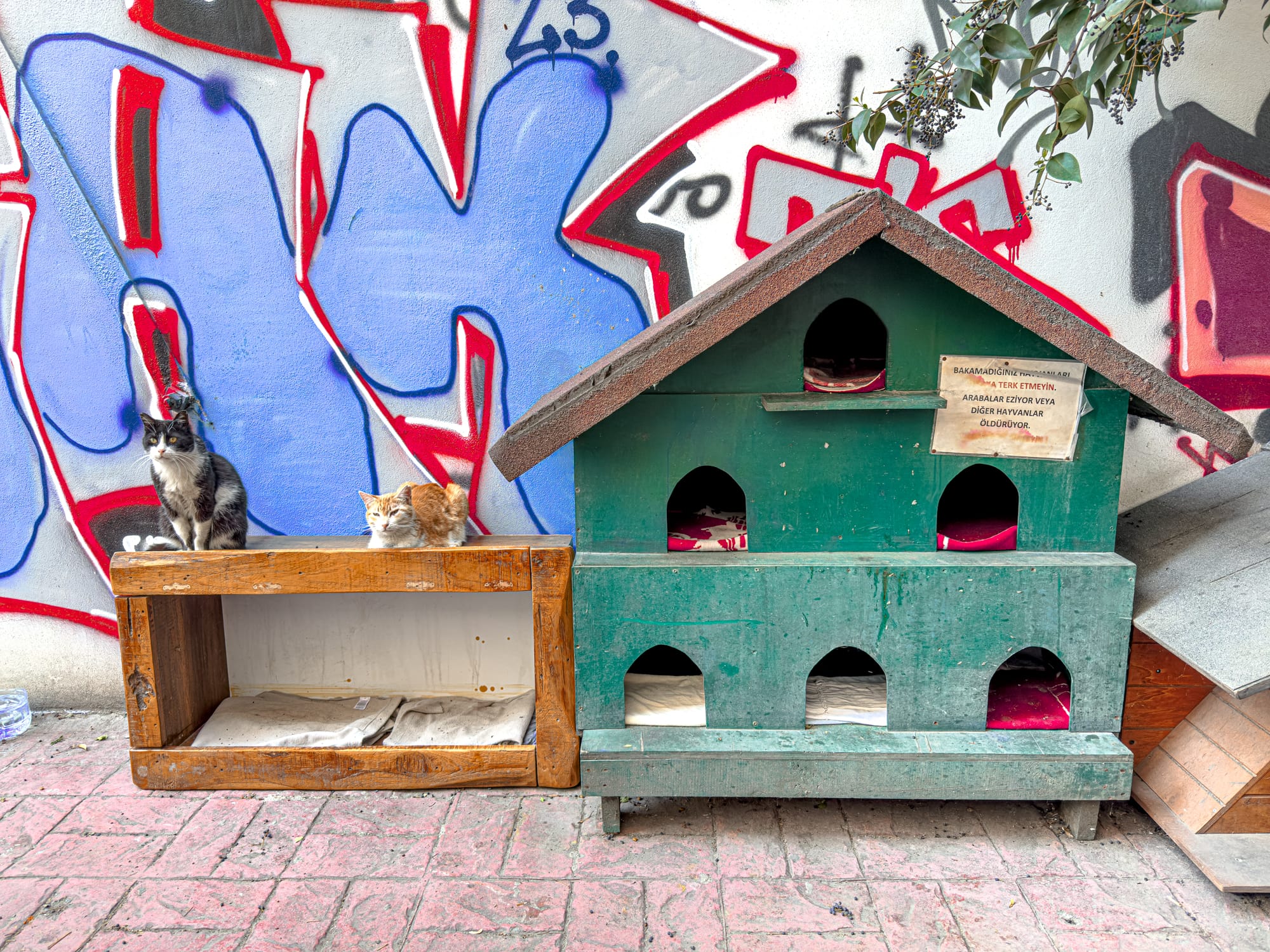 Two street cats rest on a wooden box next to a green, multi-compartment cat house lined with red blankets, set against a graffiti-covered wall on a brick-paved sidewalk