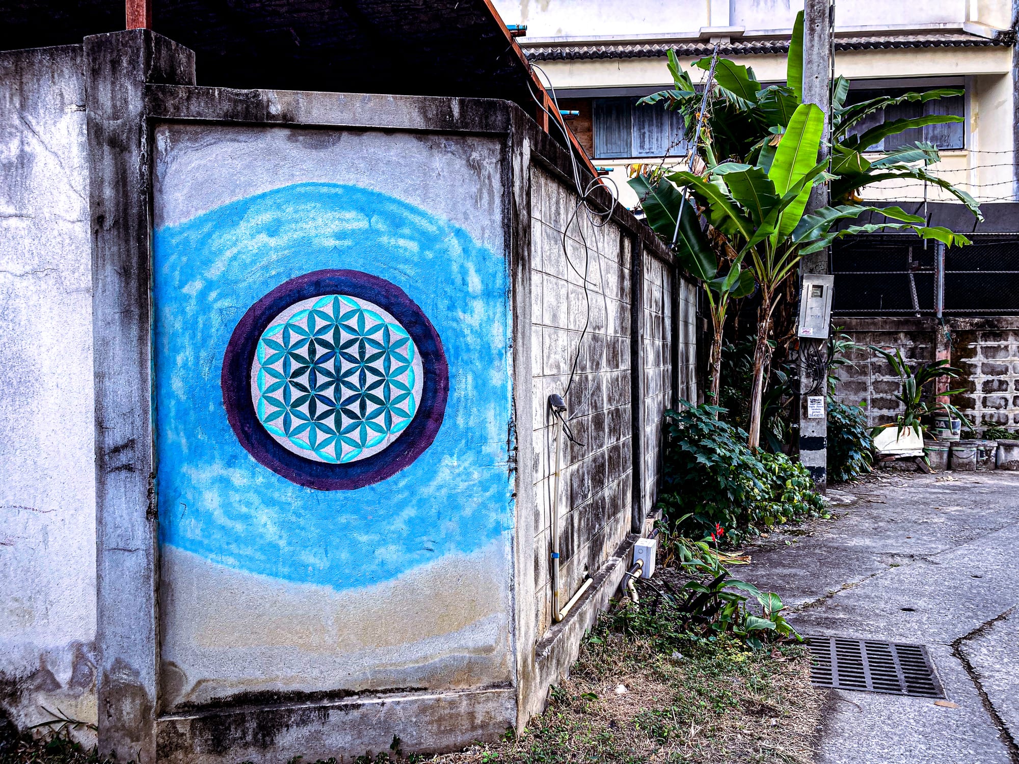 A colorful flower of life mural painted on a concrete wall in a Chiang Mai alley, with banana trees and lush greenery growing beside the narrow street