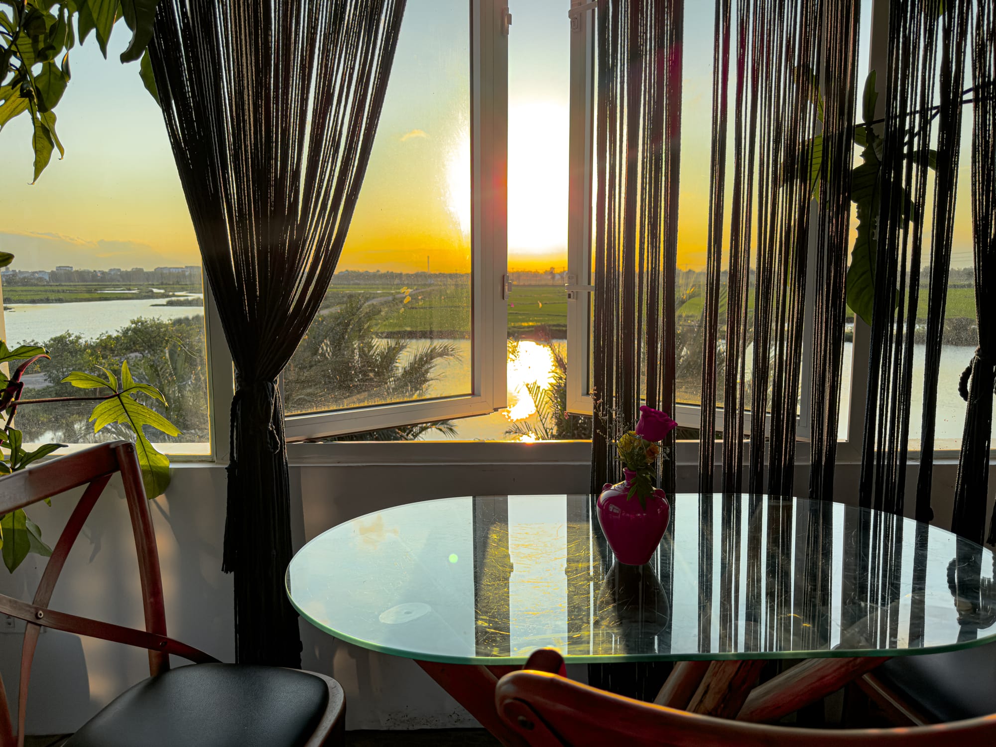 A sunlit view from a café window in Hội An, with black curtains pulled aside to reveal a glowing sunset over rice fields and a river, reflected on a glass-topped table with a pink vase holding a single rose