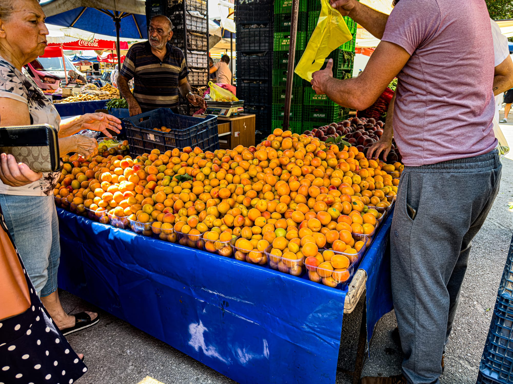 Fresh apricots for sale at Antalya’s Friday Market with shoppers selecting fruit near stacked crates