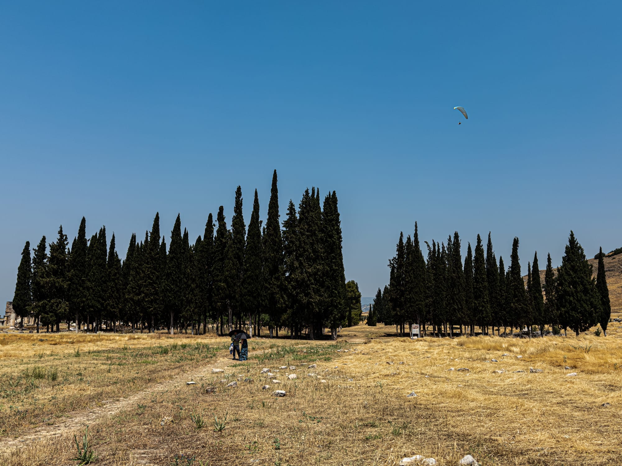 Wide shot of Hierapolis landscape with tall cypress trees and a paraglider in the clear blue sky