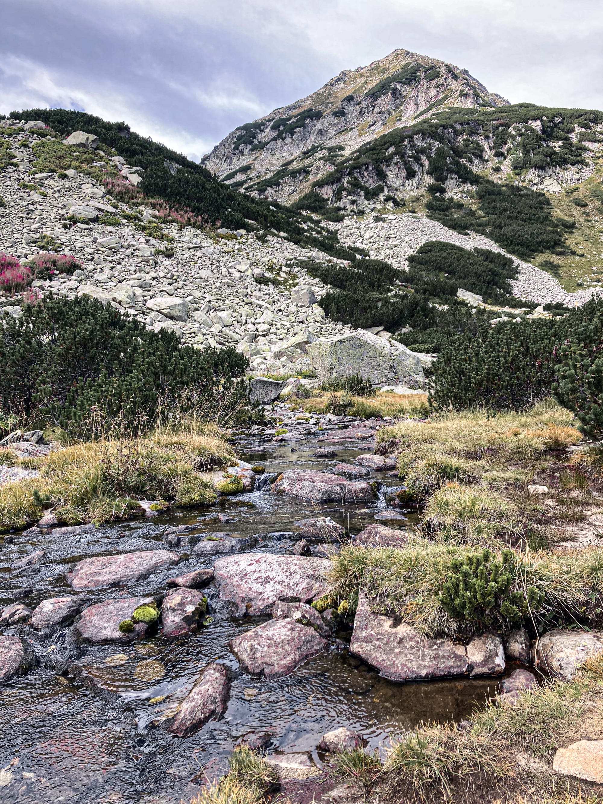 Small mountain stream flowing over rocks through alpine meadows in the Pirin Mountains, surrounded by patches of grass, shrubs, and steep rocky slopes rising toward a peak under a cloudy sky