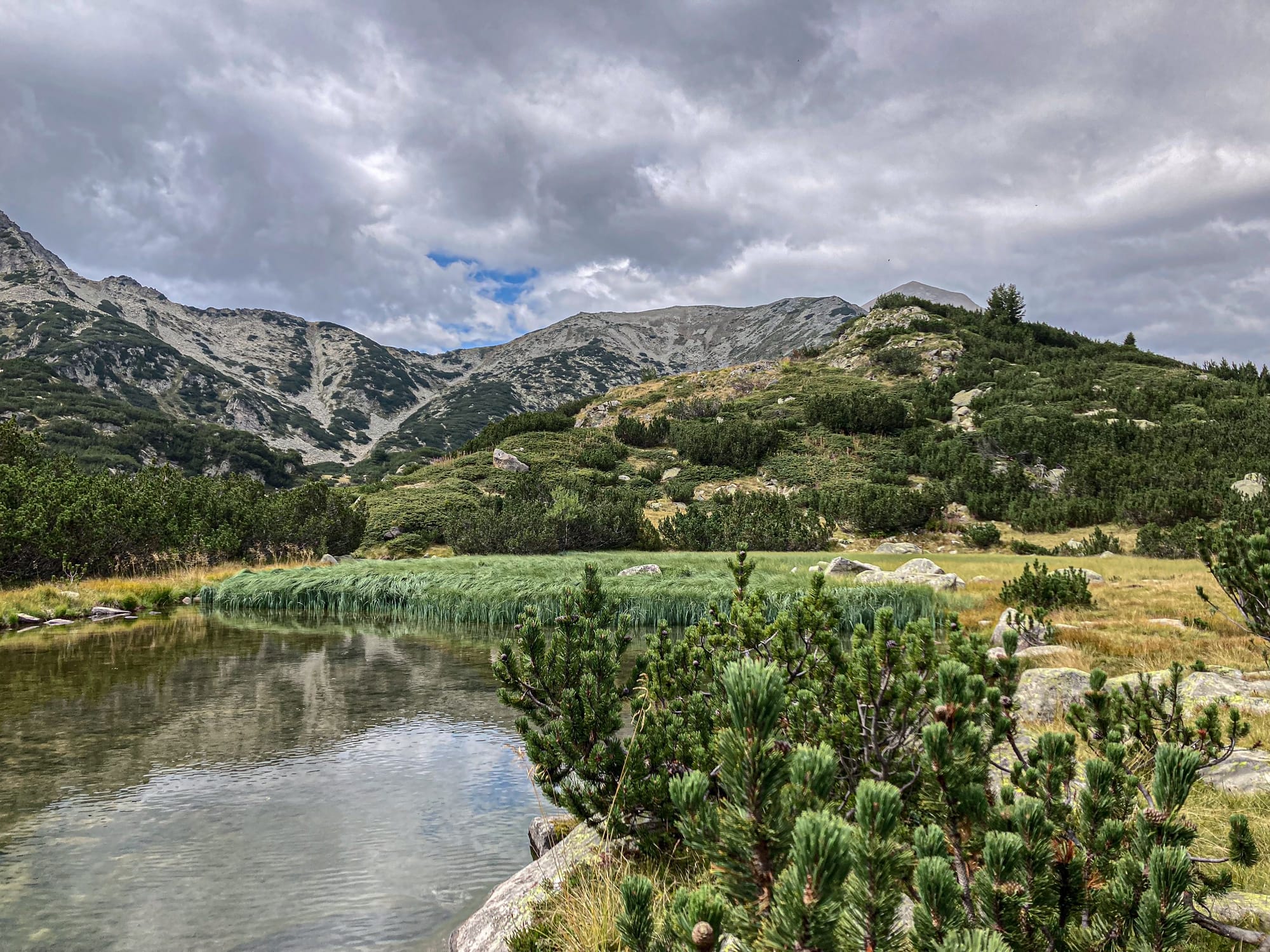 Glacial lake in the Pirin Mountains with clear, still water reflecting nearby grasses and surrounding rocky slopes, set beneath dramatic clouds and rugged alpine peaks