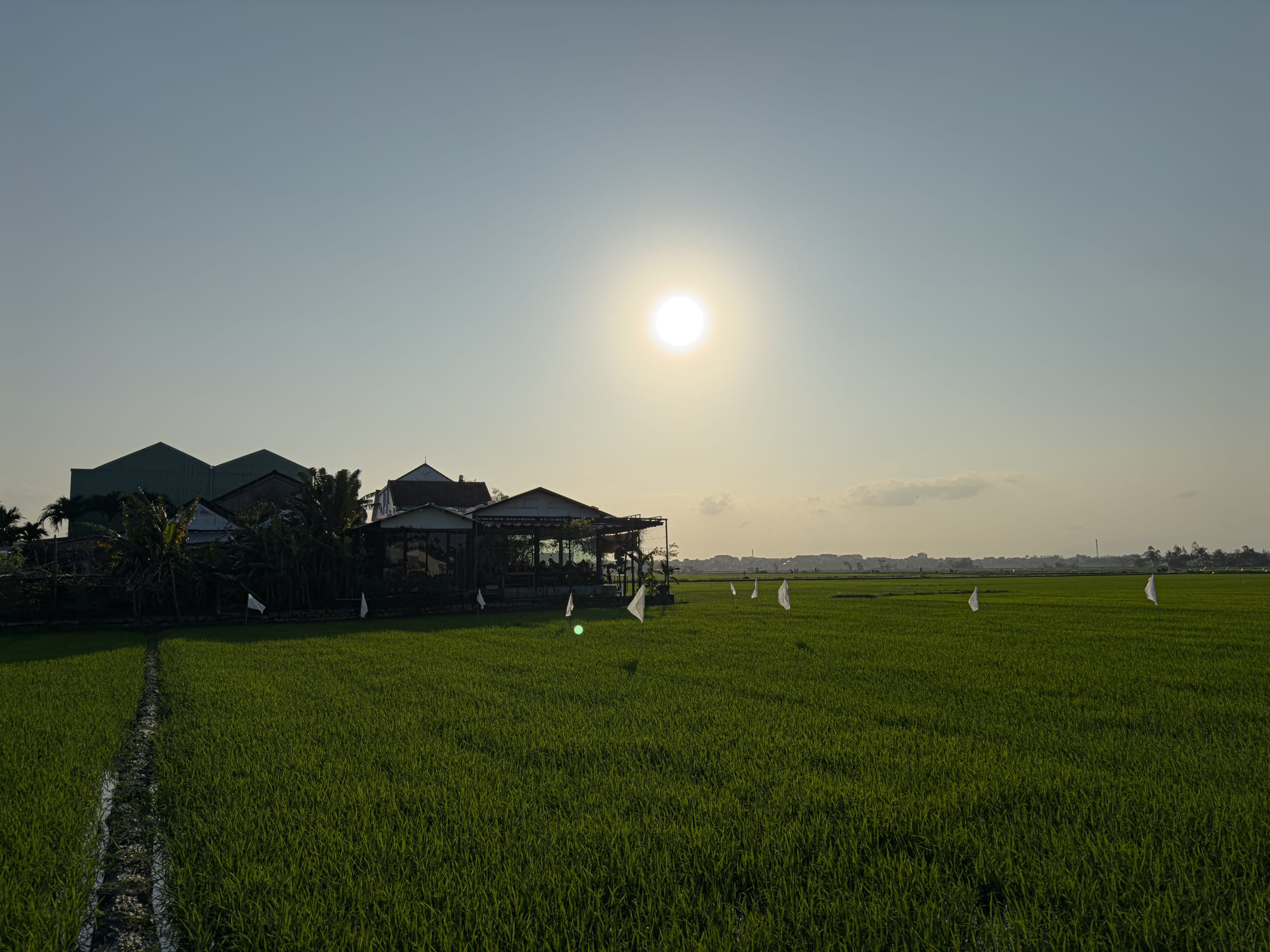 Hub Hoi An coworking space in Vietnam with digital nomads enjoying remote working views of rice fields at sunset