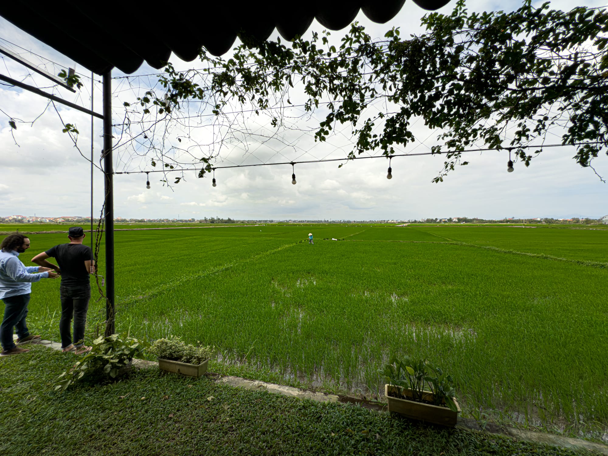 Hub Hoi An coworking terrace in Vietnam with digital nomads overlooking rice fields, remote working in nature