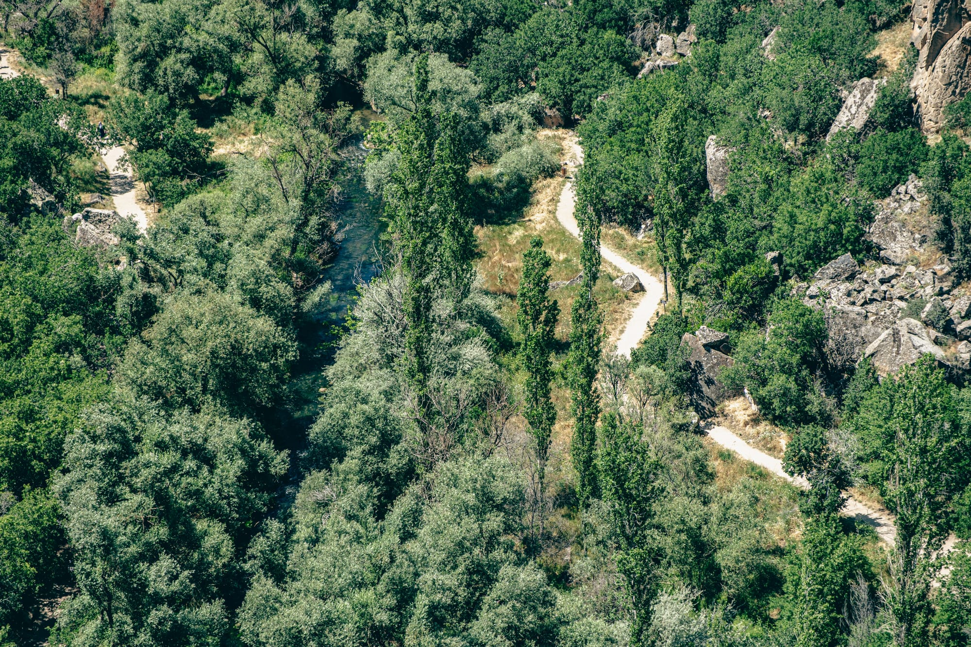 Curving hiking trail following a river surrounded by dense green trees in Ihlara Valley