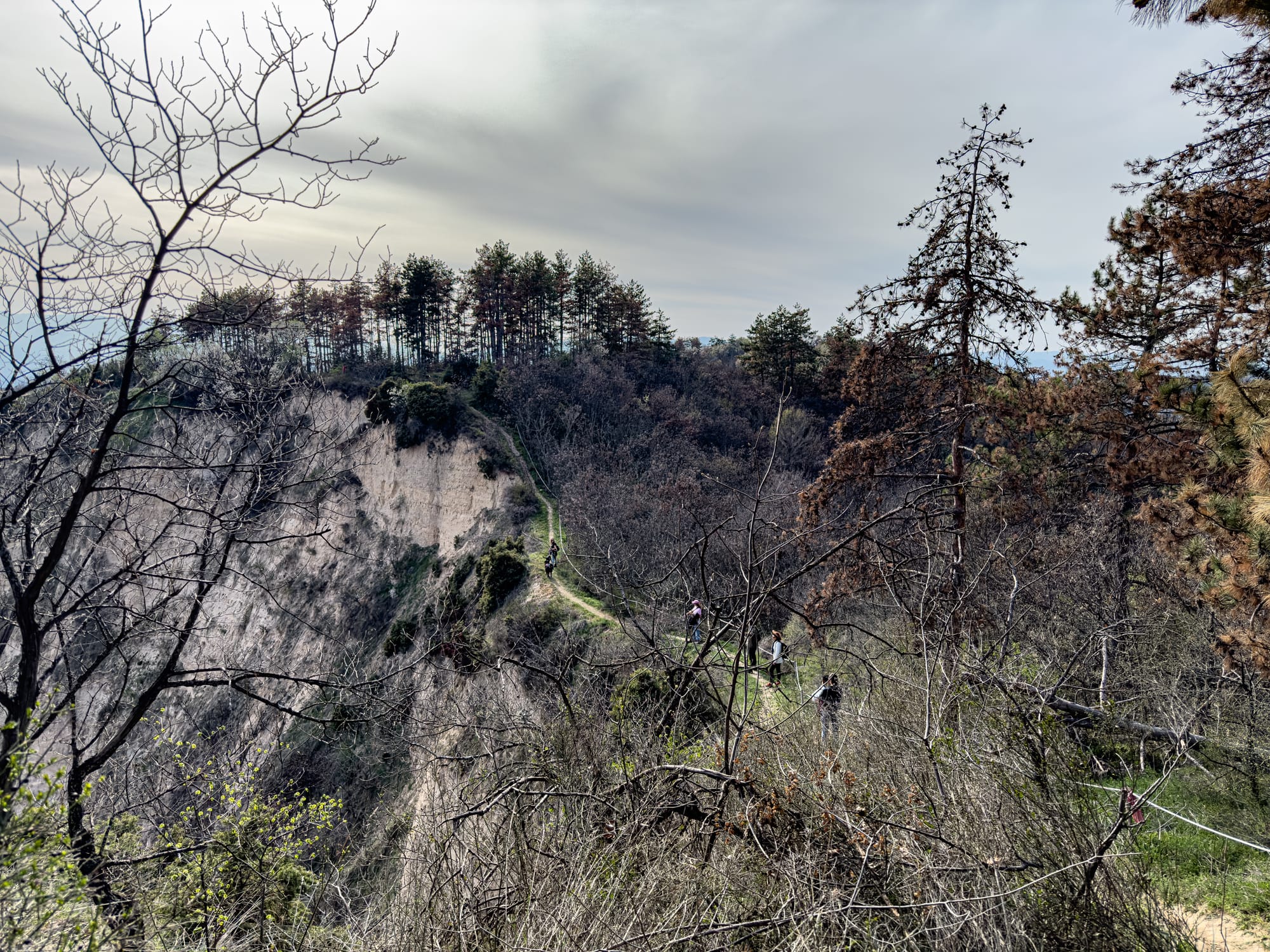 Hikers walking along a narrow ridge trail in the Melnik Earth Pyramids area, with steep sandy cliffs on one side and a line of pine trees along the horizon